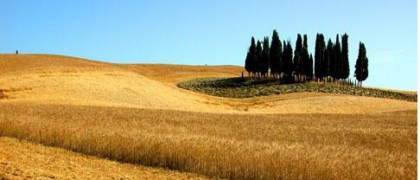 taste-of-tuscany-hotel-rotelle-torrita-di-siena